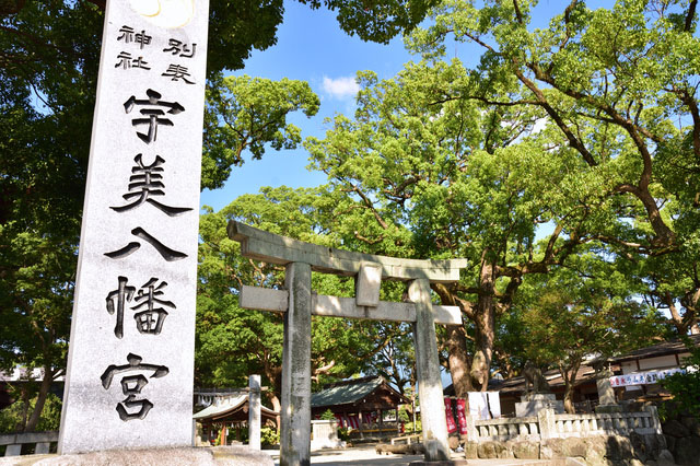 The image of Nanzoin Temple and Umi Hachimangu Taxi Tour (Duration: 3 hours)